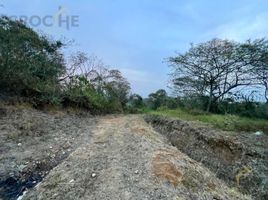  Grundstück zu verkaufen in Coatepec, Veracruz, Coatepec