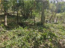  Grundstück zu verkaufen in Othon P Blanco, Quintana Roo, Othon P Blanco