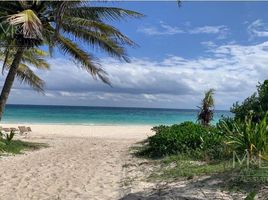  Grundstück zu verkaufen in Cozumel, Quintana Roo, Cozumel, Quintana Roo