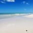  Land for sale in Rio Lagartos, Yucatan, Rio Lagartos