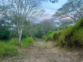  Grundstück zu verkaufen in Coatepec, Veracruz, Coatepec