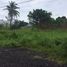 Terrain à vendre à Veracruz, Veracruz, Veracruz, Veracruz