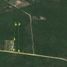  Land for sale in Motul, Yucatan, Motul