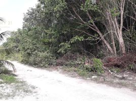  Grundstück zu verkaufen in Cancun, Quintana Roo, Cancun
