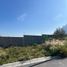  Land for sale in Santa Catarina, Nuevo Leon, Santa Catarina