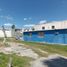  Land for sale in Reynosa, Tamaulipas, Reynosa