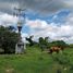  Land for sale in Tizimin, Yucatan, Tizimin