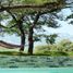 在Rayones, Nuevo Leon出售的 土地, Rayones