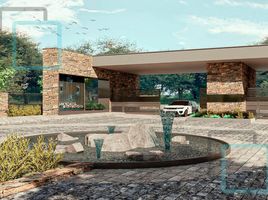 在Rayones, Nuevo Leon出售的 土地, Rayones