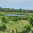  Grundstück zu verkaufen in Othon P Blanco, Quintana Roo, Othon P Blanco
