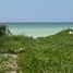  Land for sale in Dzemul, Yucatan, Dzemul