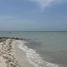  Land for sale in Dzemul, Yucatan, Dzemul
