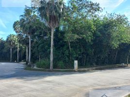  Land for sale in Conkal, Yucatan, Conkal