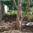 2 Bedroom Villa for sale in Maxcanu, Yucatan, Maxcanu