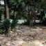  Terreno (Parcela) en venta en Cozumel, Quintana Roo, Cozumel
