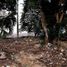  Terreno (Parcela) en venta en Cozumel, Quintana Roo, Cozumel