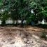  Terreno (Parcela) en venta en Cozumel, Quintana Roo, Cozumel