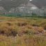  Land for sale in Santa Catarina, San Luis Potosi, Santa Catarina
