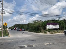  Grundstück zu verkaufen in Cancun, Quintana Roo, Cancun