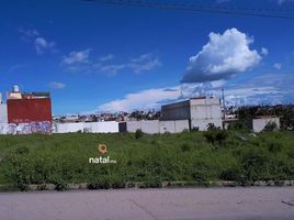 Terrain à vendre à Ocoyucan, Puebla, Ocoyucan