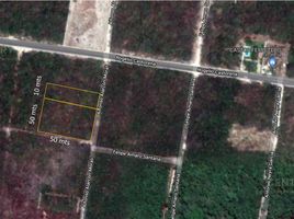  Terreno (Parcela) en venta en Cancún, Quintana Roo, Cancún