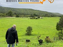  Grundstück zu verkaufen in Bachiniva, Chihuahua, Bachiniva