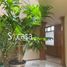 3 Habitación Casa en venta en Cuajimalpa De Morelos, Ciudad de México, Cuajimalpa De Morelos
