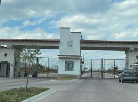 Grundstück zu verkaufen in Lagos De Moreno, Jalisco, Lagos De Moreno