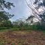 Terrain à vendre à Othon P Blanco, Quintana Roo, Othon P Blanco