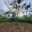 Terrain à vendre à Othon P Blanco, Quintana Roo, Othon P Blanco
