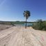  Land for sale in Camargo, Chihuahua, Camargo