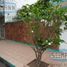 7 Bedroom House for sale in Sayula De Aleman, Veracruz, Sayula De Aleman, Veracruz