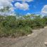 Terrain à vendre à Yaxkukul, Yucatan, Yaxkukul
