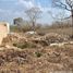  Land for sale in Yaxkukul, Yucatan, Yaxkukul