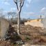  Land for sale in Yaxkukul, Yucatan, Yaxkukul