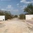  Land for sale in Yaxkukul, Yucatan, Yaxkukul