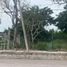  Grundstück zu verkaufen in Altamira, Tamaulipas, Altamira, Tamaulipas