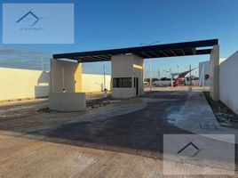  Grundstück zu verkaufen in Conkal, Yucatan, Conkal