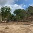  Grundstück zu verkaufen in Dist Pochutla, Oaxaca, Dist Pochutla