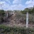  Land for sale in Emiliano Zapata, Hidalgo, Emiliano Zapata