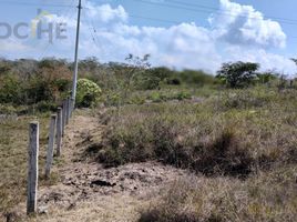  Land for sale in Emiliano Zapata, Hidalgo, Emiliano Zapata