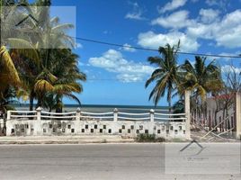  Land for sale in Yobain, Yucatan, Yobain