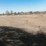  Land for sale in Silao, Guanajuato, Silao