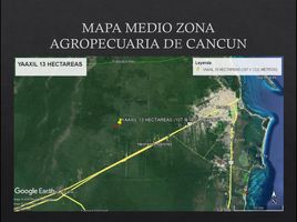  Grundstück zu verkaufen in Lazaro Cardenas, Quintana Roo, Lazaro Cardenas