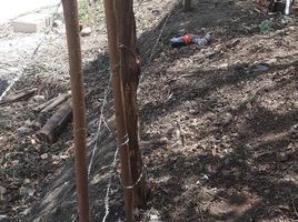  Grundstück zu verkaufen in Othon P Blanco, Quintana Roo, Othon P Blanco