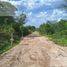  Grundstück zu verkaufen in Conkal, Yucatan, Conkal