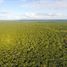  Land for sale in Cozumel, Quintana Roo, Cozumel, Quintana Roo