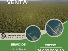  Land for sale in Cozumel, Quintana Roo, Cozumel, Quintana Roo