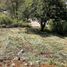  Terreno (Parcela) en venta en Coatepec, Veracruz, Coatepec