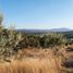  Land for sale in Zapopan, Jalisco, Zapopan, Jalisco